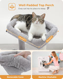 Cat Tree Palace - Cat Scratching Posts USA Cat Scratching Post Specialists | Cat Scratcher Trees & Poles 19.7" Cat Scratching Tree with Groomer