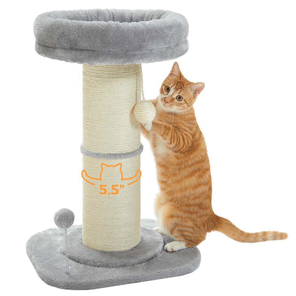 Cat Tree Palace - Cat Scratching Posts USA Cat Scratching Post Specialists | Cat Scratcher Trees & Poles ﻿23.6" Cat Scratching Post ﻿