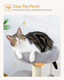 Cat Tree Palace - Cat Scratching Posts USA Cat Scratching Post Specialists | Cat Scratcher Trees & Poles 32.7" Cat Scratching Tree/ Post/ Pole