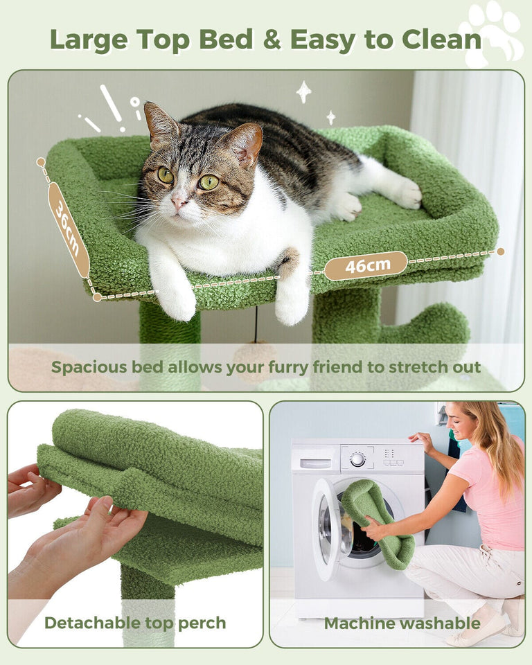 Cat Tree Palace - Cat Scratching Posts USA Cat Scratching Post Specialists | Cat Scratcher Trees & Poles 35.4" Cactus Cat Scratching Tree with Condo