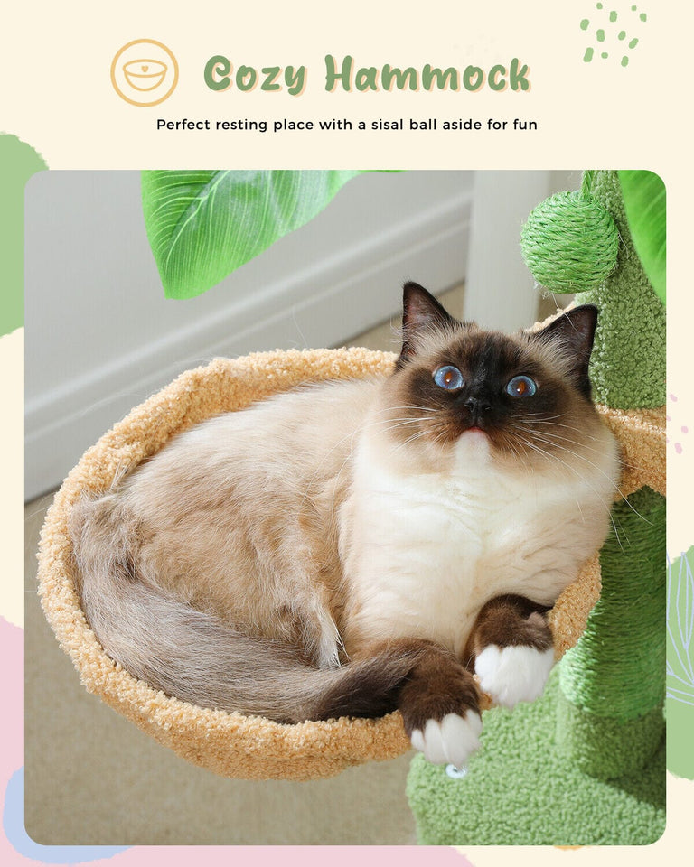 Cat Tree Palace - Cat Scratching Posts USA Cat Scratching Post Specialists | Cat Scratcher Trees & Poles 43.3" Tropical Cat Scratching Tree Condo