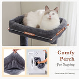 Cat Tree Palace - Cat Scratching Posts USA Cat Scratching Post Specialists | Cat Scratcher Trees & Poles 60" Multilevel Cat Scratching Tree