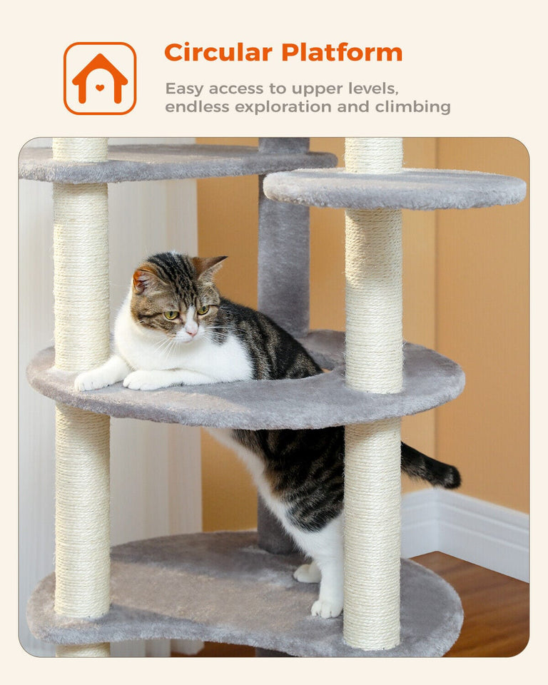Cat Tree Palace - Cat Scratching Posts USA Cat Scratching Post Specialists | Cat Scratcher Trees & Poles 61" Cat Scratching Tree/ Pole/ Post
