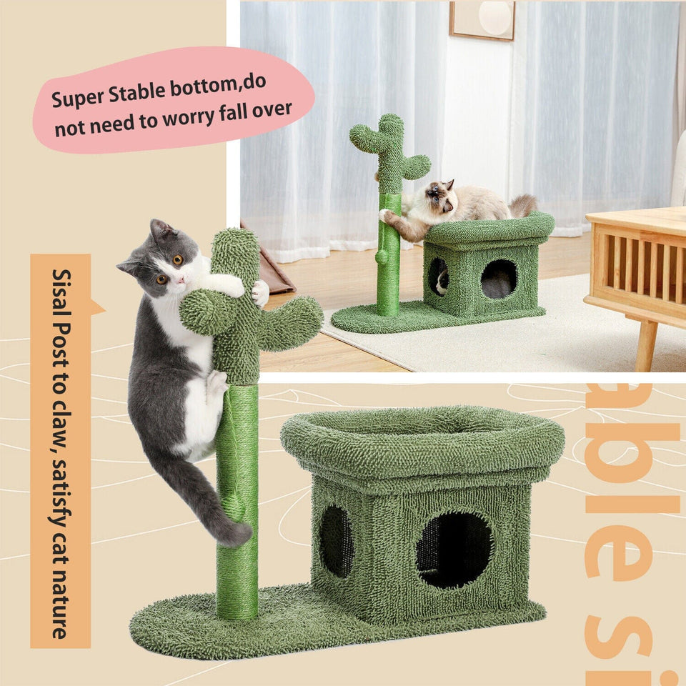 Cat Tree Palace - Cat Scratching Posts USA Cat Furniture 2 in 1 Condo & Cactus Cat Scratching Post / Tree / Pole