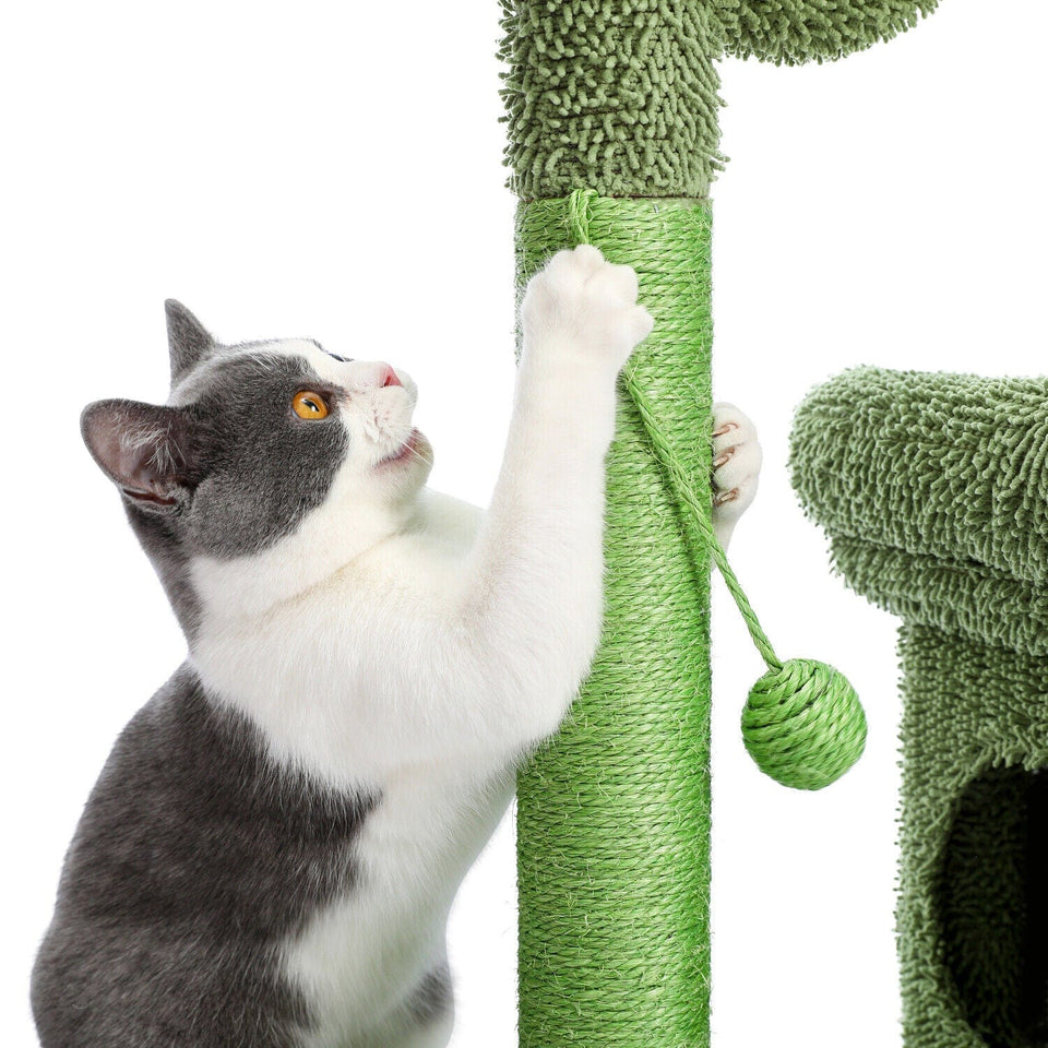 Cat Tree Palace - Cat Scratching Posts USA Cat Furniture 2 in 1 Condo & Cactus Cat Scratching Post / Tree / Pole