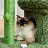 Cat Tree Palace - Cat Scratching Posts USA Cat Furniture 2 in 1 Condo & Cactus Cat Scratching Post / Tree / Pole