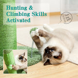 Cat Tree Palace - Cat Scratching Posts USA Cat Furniture 33.5" Cactus Cat Scratching Post / Tree / Pole