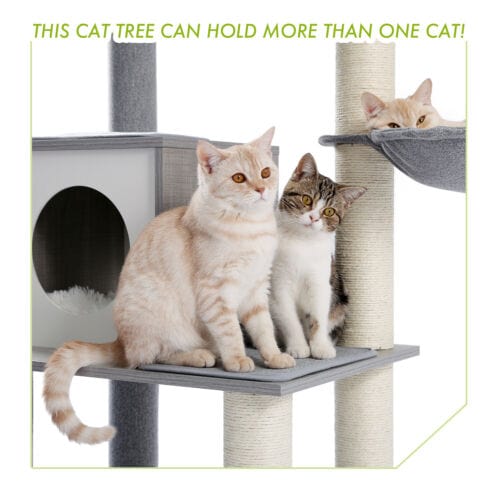 Cat Tree Palace - Cat Scratching Posts USA Cat Furniture 61" Cat Scratching Post / Tree / Pole - Grey