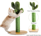 Cat Tree Palace - Cat Scratching Posts USA Cat Scratching Post Specialists | Cat Scratcher Trees & Poles 20.7" Cactus Cat Scratching Post / Tree / Pole - Green Buy 20.7" Cactus Cat Scratching Post / Tree / Pole - Green │ Cat Tree Palace