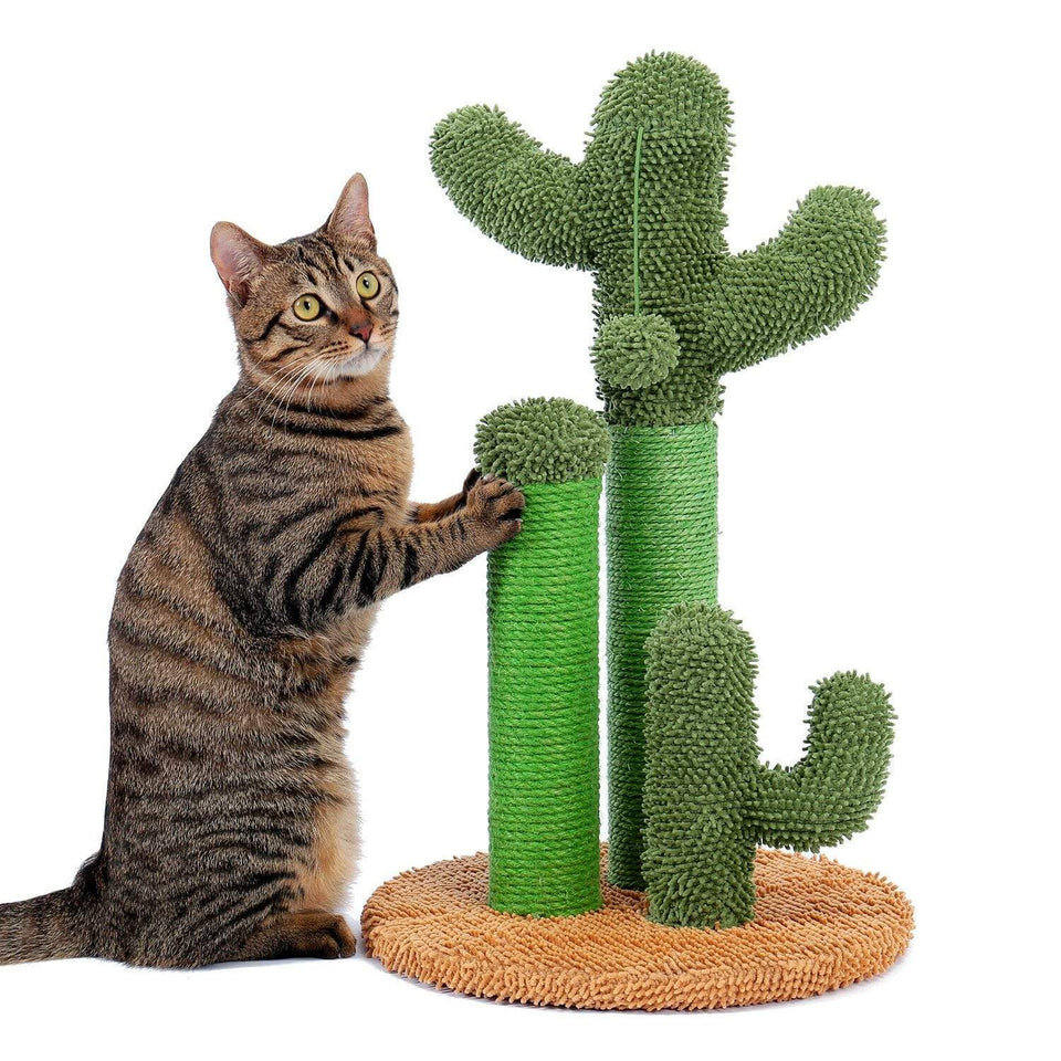 Cat Tree Palace - Cat Scratching Posts USA Cat Scratching Post Specialists | Cat Scratcher Trees & Poles 20.9" Cactus Cat Scratching Post / Tree / Pole - Brown Buy 20.9" Cactus Cat Scratching Post / Tree / Pole - Brown │ Cat Tree Palace
