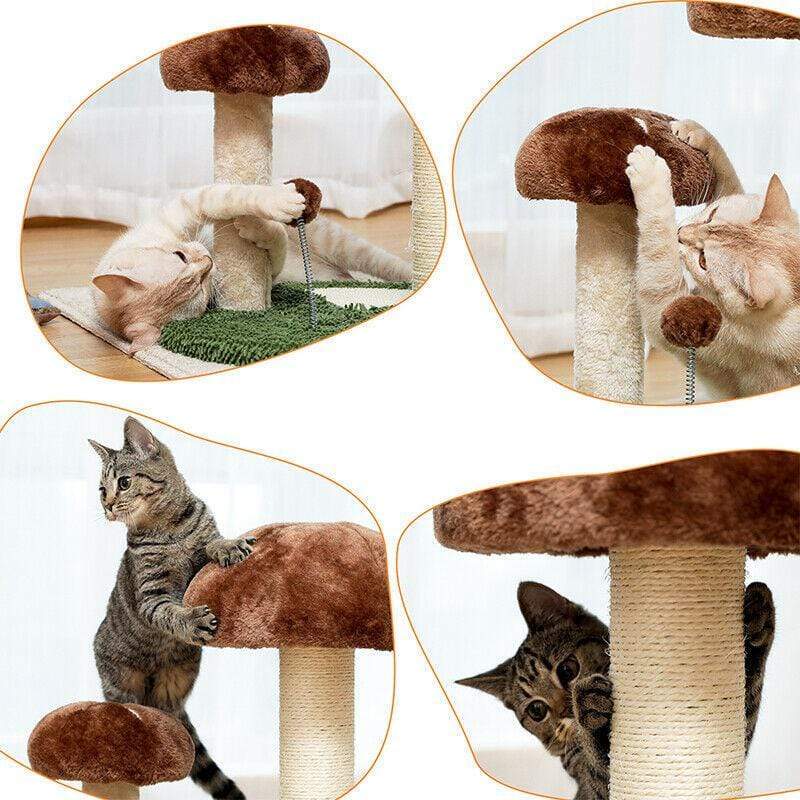 Cat Tree Palace - Cat Scratching Posts USA Cat Scratching Post Specialists | Cat Scratcher Trees & Poles 21.3" Mushroom Cat Scratching Post / Tree / Pole - Green/Brown Buy 21.3" Mushroom Cat Scratching Post / Tree / Pole │Cat Tree Palace