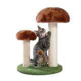 Cat Tree Palace - Cat Scratching Posts USA Cat Scratching Post Specialists | Cat Scratcher Trees & Poles 21.3" Mushroom Cat Scratching Post / Tree / Pole - Green/Brown Buy 21.3" Mushroom Cat Scratching Post / Tree / Pole │Cat Tree Palace