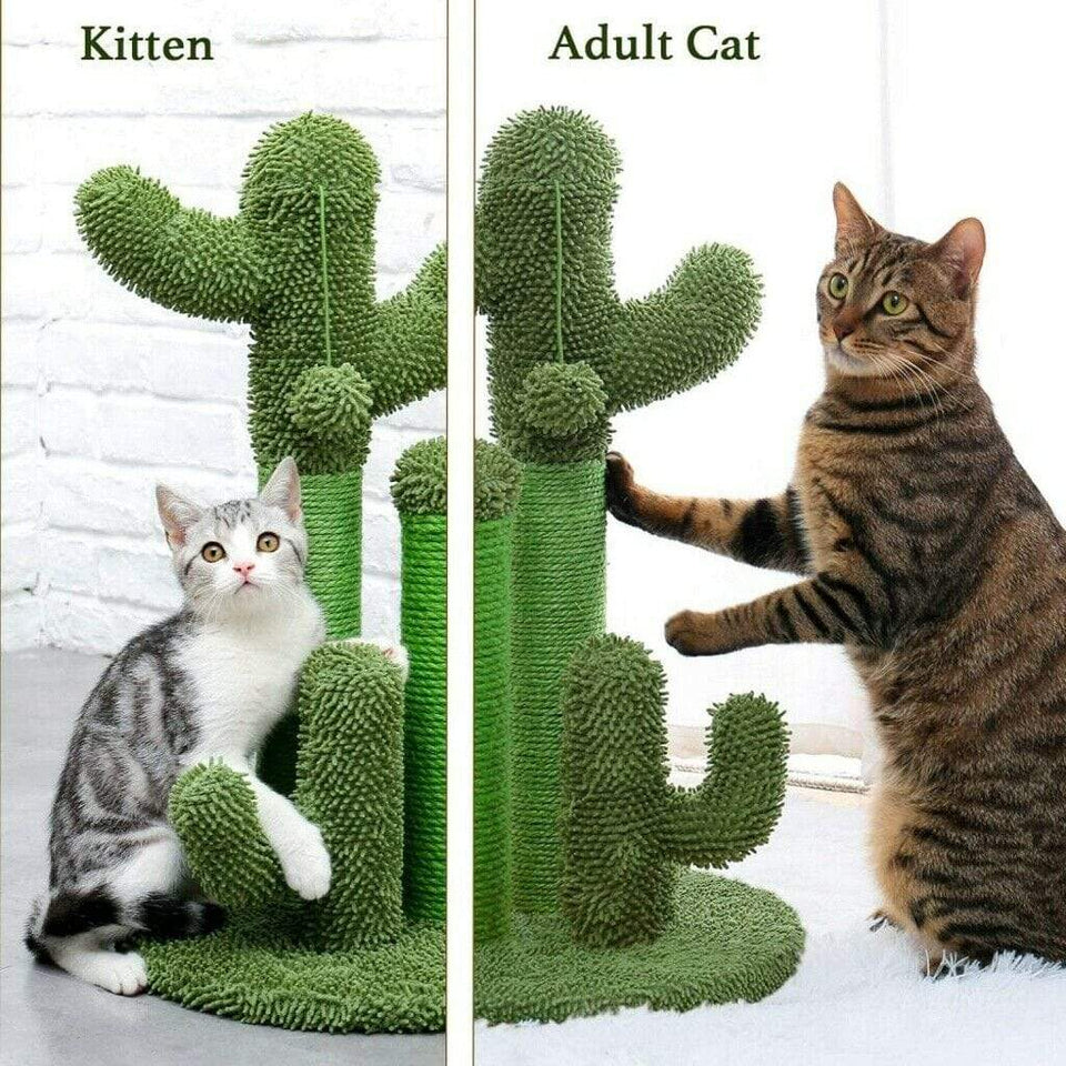 Cat Tree Palace - Cat Scratching Posts USA Cat Scratching Post Specialists | Cat Scratcher Trees & Poles 27" Cat Scratching Post / Tree / Pole - Green Buy 27" Cat Scratching Post / Tree / Pole - Green │Cat Tree Palace