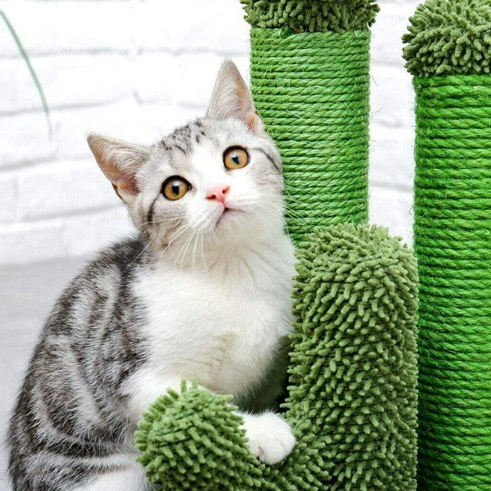 Cat Tree Palace - Cat Scratching Posts USA Cat Scratching Post Specialists | Cat Scratcher Trees & Poles 27" Cat Scratching Post / Tree / Pole - Green Buy 27" Cat Scratching Post / Tree / Pole - Green │Cat Tree Palace