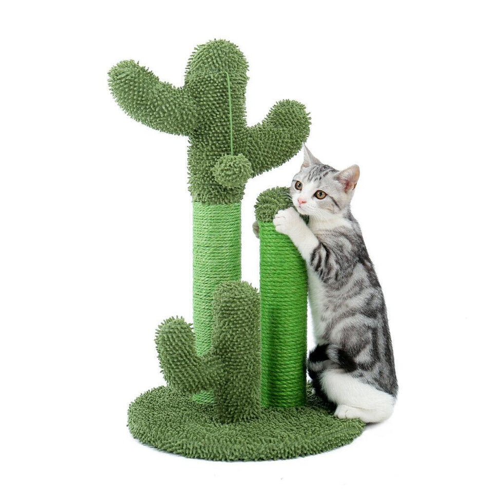 Cat Tree Palace - Cat Scratching Posts USA Cat Scratching Post Specialists | Cat Scratcher Trees & Poles 27" Cat Scratching Post / Tree / Pole - Green Buy 27" Cat Scratching Post / Tree / Pole - Green │Cat Tree Palace