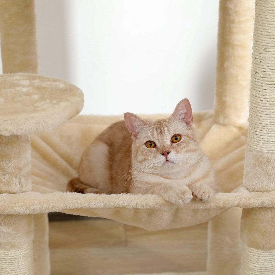 Cat Tree Palace - Cat Scratching Posts USA Cat Scratching Post Specialists | Cat Scratcher Trees & Poles 56.3" Cat Scratching Post / Tree / Pole - Beige Buy 56.3" Cat Scratching Post / Tree / Pole - Beige │ Cat Tree Palace