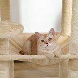 Cat Tree Palace - Cat Scratching Posts USA Cat Scratching Post Specialists | Cat Scratcher Trees & Poles 56.3" Cat Scratching Post / Tree / Pole - Beige Buy 56.3" Cat Scratching Post / Tree / Pole - Beige │ Cat Tree Palace