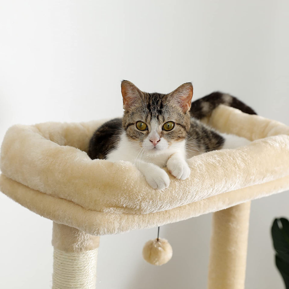 Cat Tree Palace - Cat Scratching Posts USA Cat Scratching Post Specialists | Cat Scratcher Trees & Poles 57" Cat Scratching Post / Tree / Pole - Beige Buy 57" Cat Scratching Post / Tree / Pole - Beige │ Cat Tree Palace