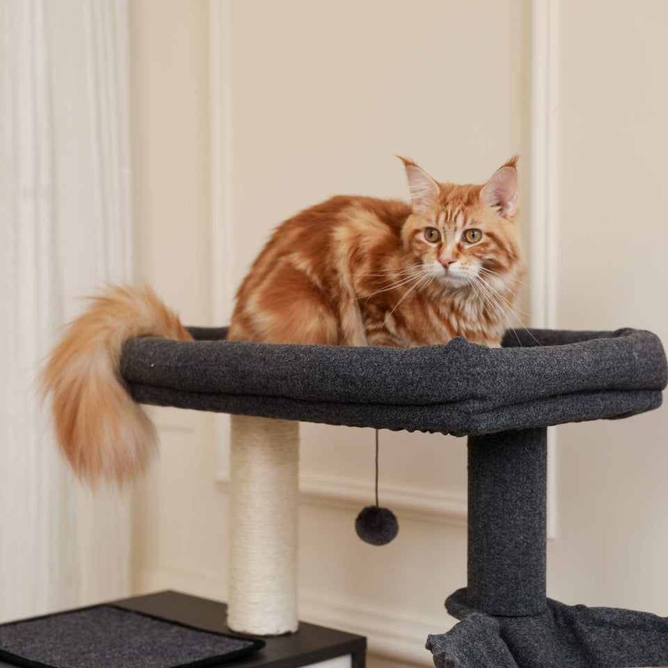 Cat Tree Palace - Cat Scratching Posts USA Cat Scratching Post Specialists | Cat Scratcher Trees & Poles 59" Cat Scratching Post / Tree / Pole - Black Buy 59" Cat Scratching Post / Tree / Pole - Black │ Cat Tree Palace