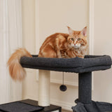 Cat Tree Palace - Cat Scratching Posts USA Cat Scratching Post Specialists | Cat Scratcher Trees & Poles 59" Cat Scratching Post / Tree / Pole - Black Buy 59" Cat Scratching Post / Tree / Pole - Black │ Cat Tree Palace