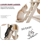 Cat Tree Palace - Cat Scratching Posts USA Cat Scratching Post Specialists | Cat Scratcher Trees & Poles 60" Cat Scratching Post / Tree / Pole - Beige Buy 60" Cat Scratching Post / Tree / Pole - Beige │ Cat Tree Palace