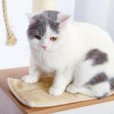 Cat Tree Palace - Cat Scratching Posts USA Cat Scratching Post Specialists | Cat Scratcher Trees & Poles 65.6" Multi Level Cat Scratching Post / Tree / Pole - Wood Buy 65.6" Multi Level Cat Scratching Post / Tree / Pole - Wood │Cat Tree Palace